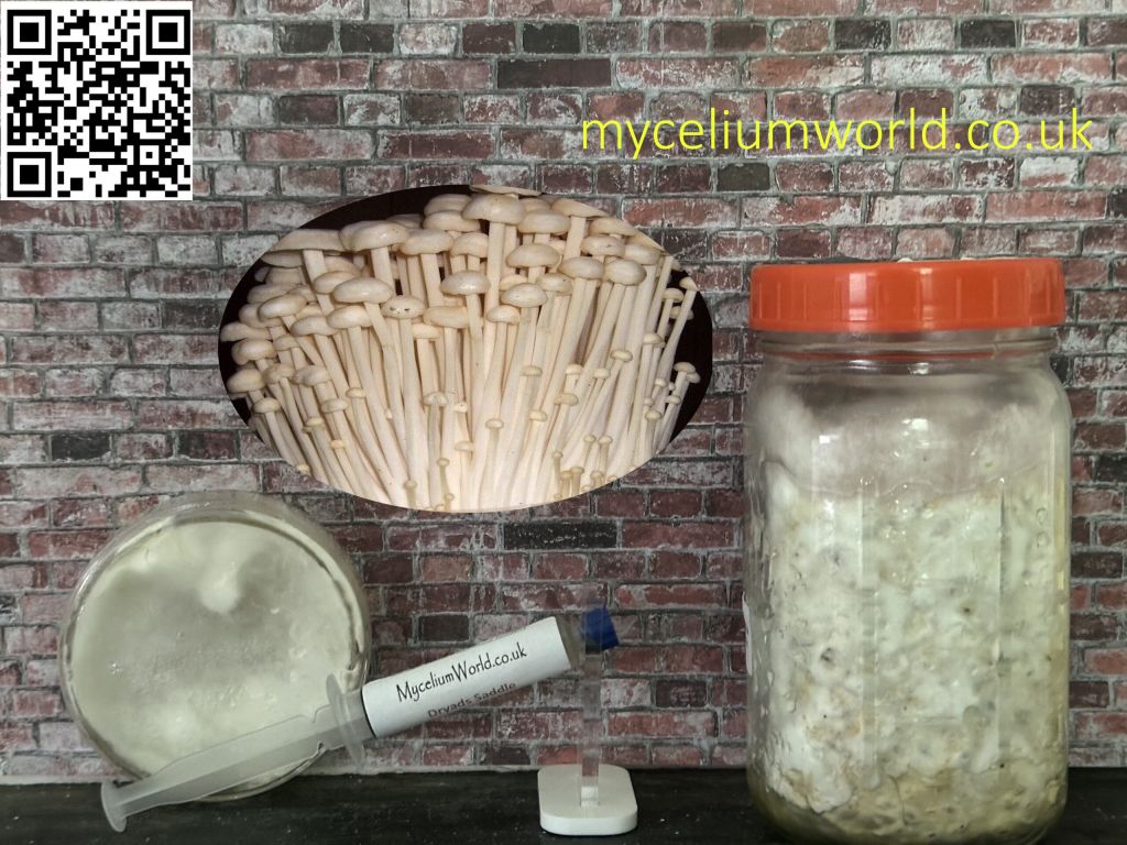 All you need for home growing